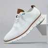 https://img.kwcdn.com/product/fancy/aa07f048-1e53-48e9-9c8a-ad4cd2d306e2.jpg